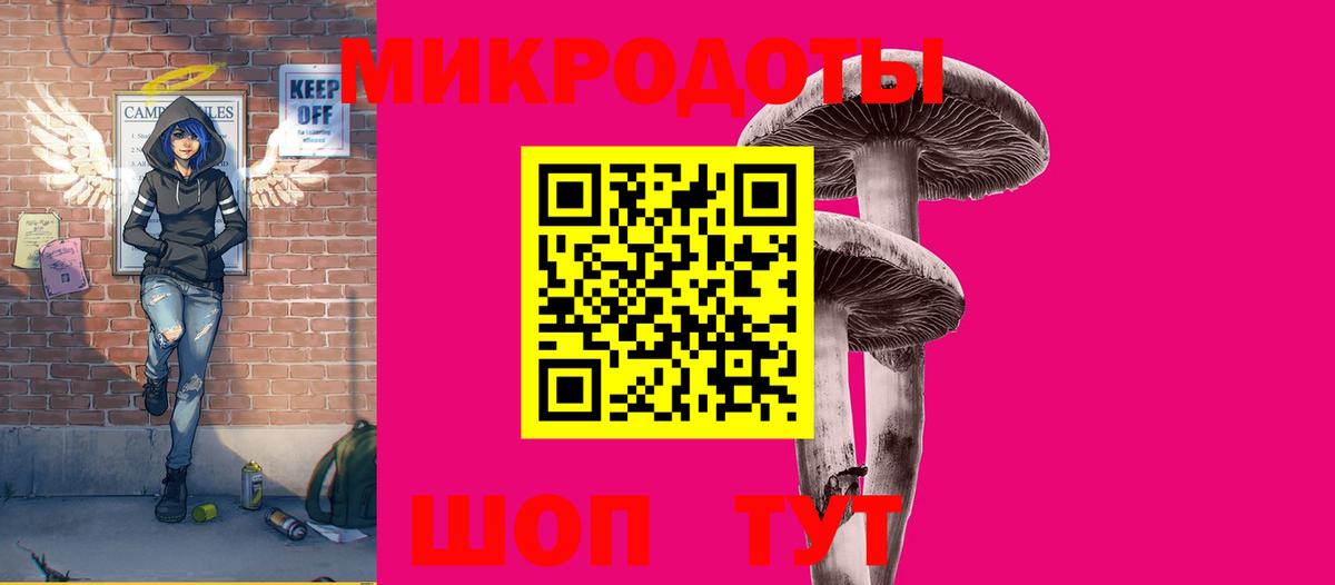 Галлюциногенные грибы Psilocybe Куйбышев
